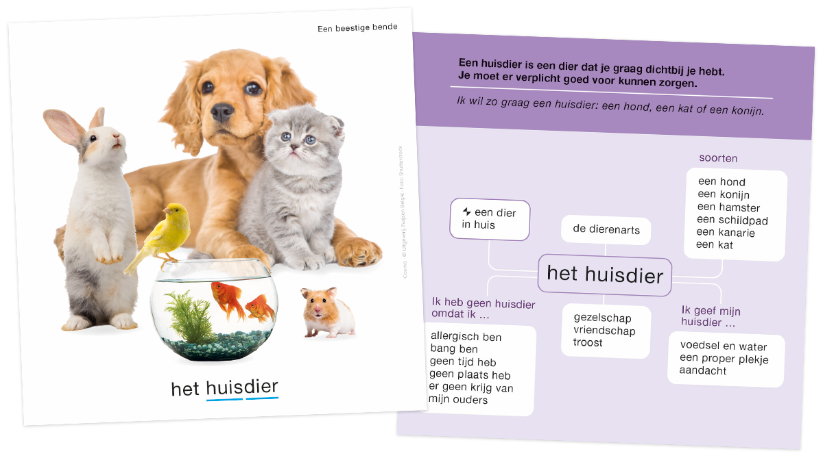 Woordkaart met Huisdieren in Cosmo 5e leerjaar, lesmethode wereldoriëntatie basisonderwijs