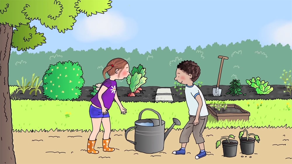 Groei,-plantje-groei