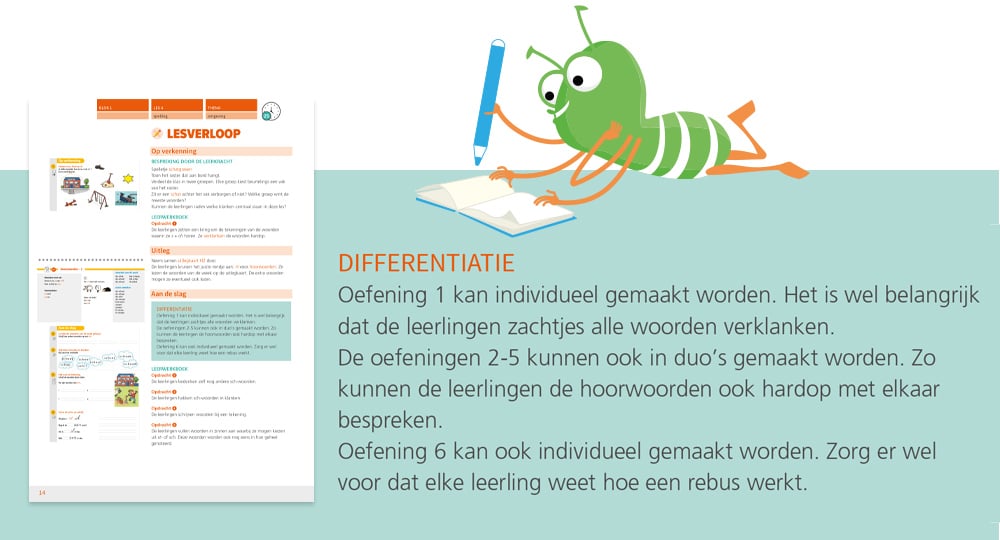 differentiatie-flexiblewerkvormen